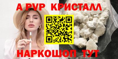 стаф Славгород