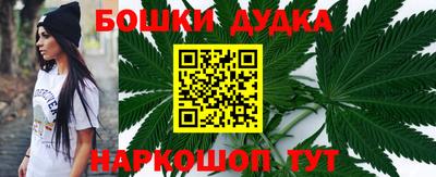 стаф Славгород