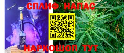 стаф Славгород