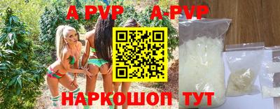 стаф Славгород